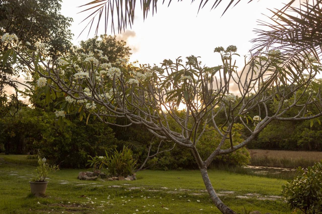 Pousada Lagoa Da Pedra Imbassai Kültér fotó
